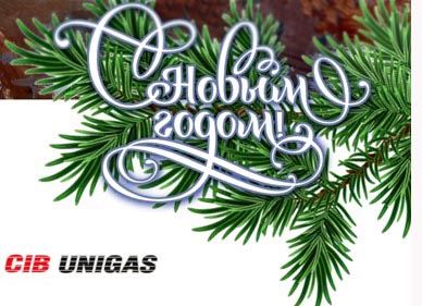  Компания CIB UNIGAS поздравляет всех с наступающим Новым Годом!
